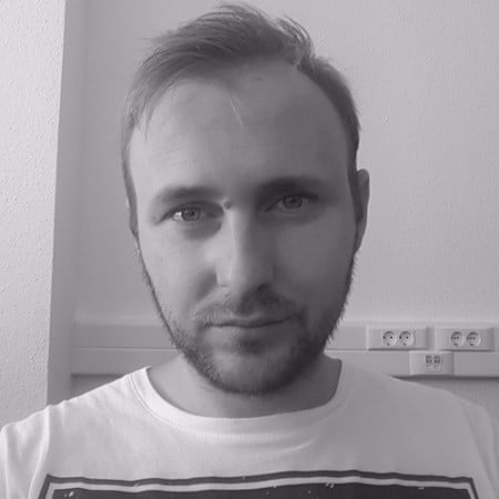 Gyula Vad Software Developer at ArtOfInfo